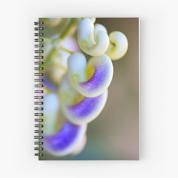 Item preview, Beautiful Flowering Corkscrew Vine designed and sold by Joy Watson - Natural Light Photography .