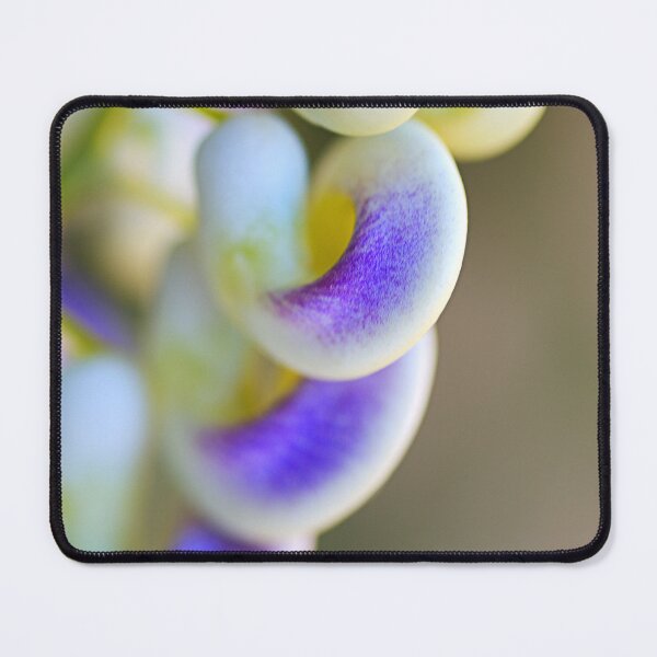 Item preview, Beautiful Flowering Corkscrew Vine designed and sold by Joy Watson - Natural Light Photography .