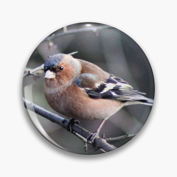 Item preview, chaffinch designed and sold by KathleenDawson.