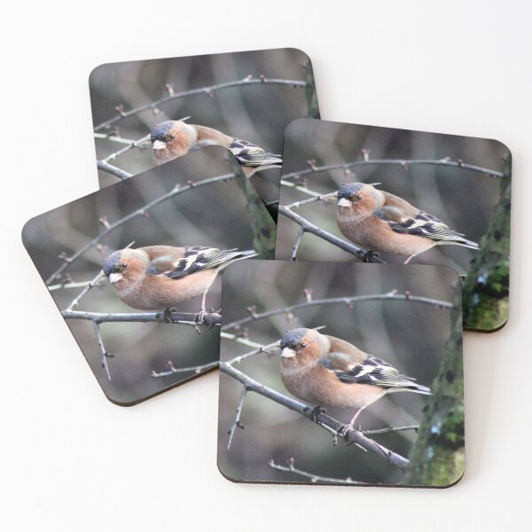Item preview, chaffinch designed and sold by KathleenDawson.