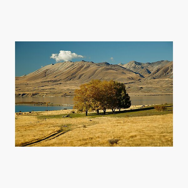 Item preview, Autumn day at Lake Alexandrina designed and sold by ABeeCr8ive.