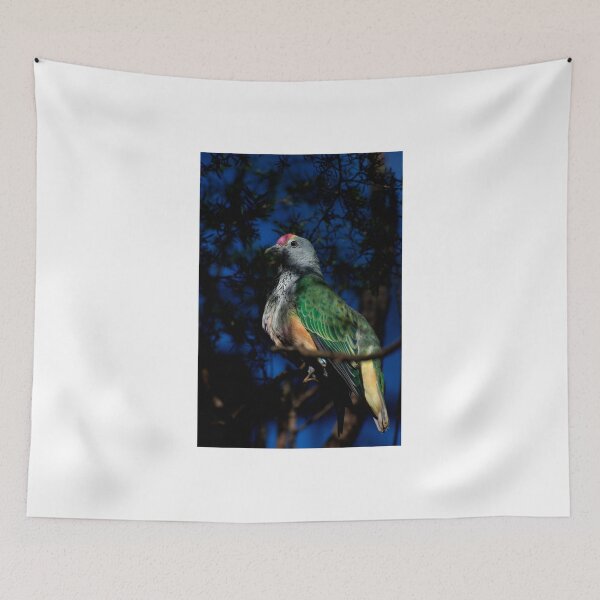 Item preview, Rose Crowned Fruit Dove designed and sold by GP1746.