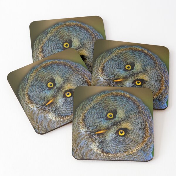 Item preview, Pájaros 130 - (C) ben yassa designed and sold by beny .