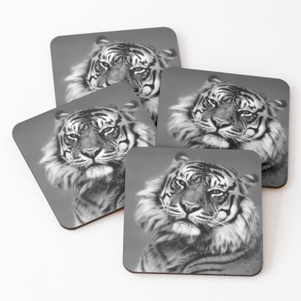 Item preview, Big Cats 125 - (C) ben yassa designed and sold by beny .