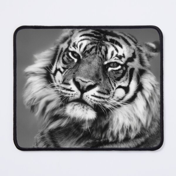 Item preview, Big Cats 125 - (C) ben yassa designed and sold by beny .