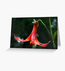 "Last Call Before Nightfall" Greeting Card