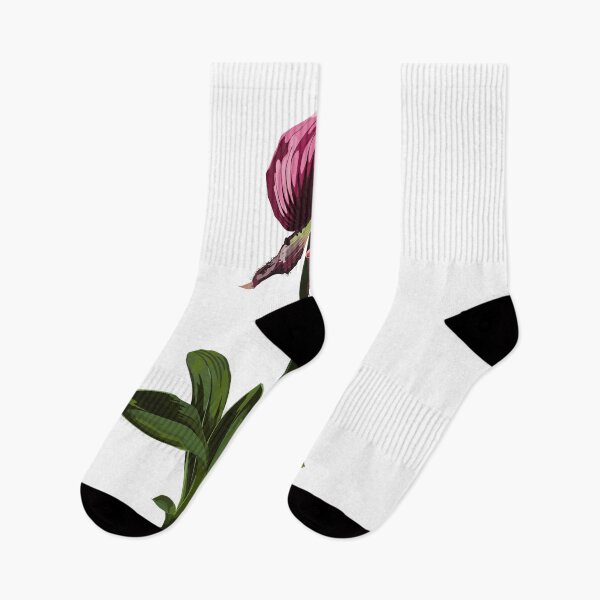 Item preview, Paphiopedilum orchid - venus slipper flower with green violet flowers. designed and sold by MatyKotiv.