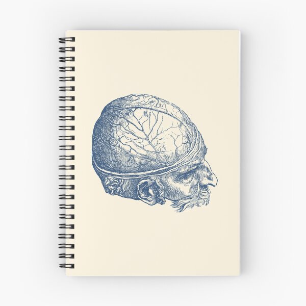 Item preview, Male Brain - Simple View - Vintage Anatomy Print designed and sold by VAposters.