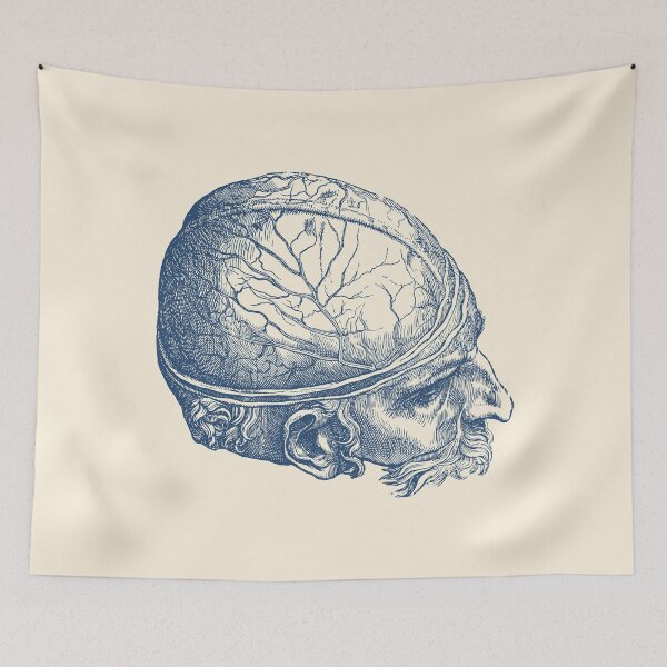Item preview, Male Brain - Simple View - Vintage Anatomy Print designed and sold by VAposters.