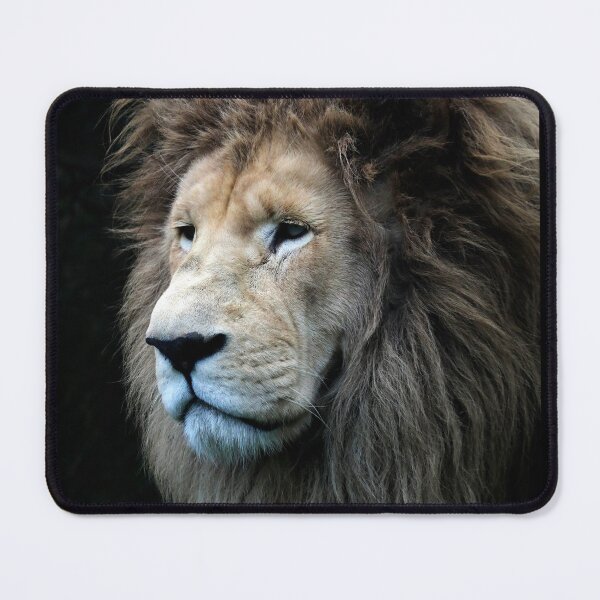 Item preview, big Cats 163 - (C) ben yassa designed and sold by beny .