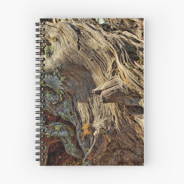 Item preview, Wooden Textures and Lichen Colours designed and sold by Barbara  Brown.