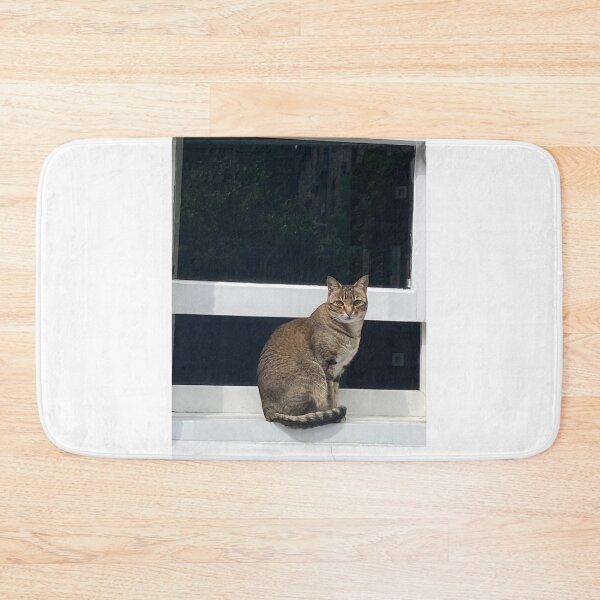 Item preview, Cat outside window  designed and sold by KateEsdaile.