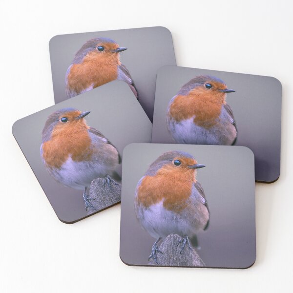 Item preview, Robin on Perch designed and sold by Tom McPherson Photography.