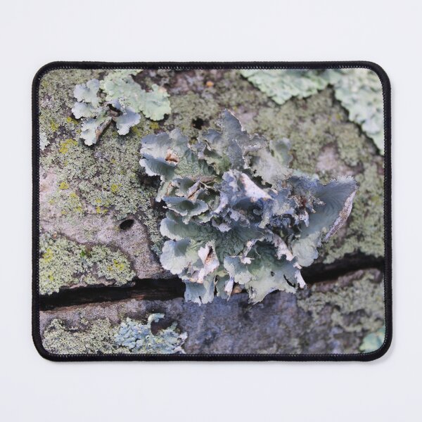 Item preview, Tree bark design 2 designed and sold by McFleur's Lens.