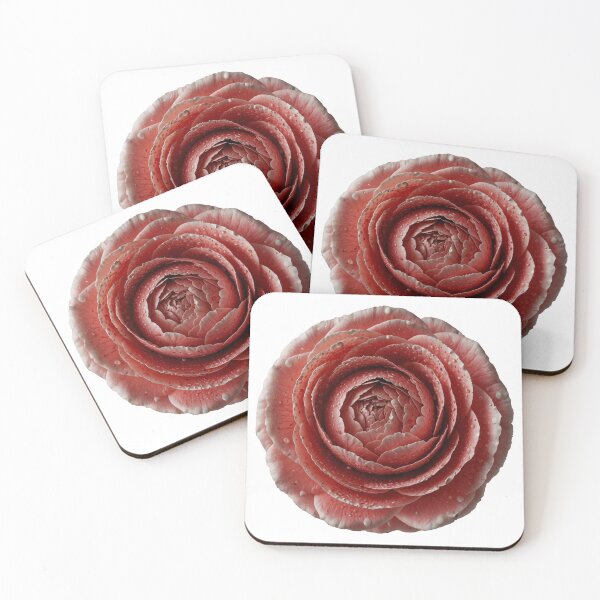 Item preview, Elegant Dewy Ranunculus Flower – Floral Art Design designed and sold by NatashaSokolova.