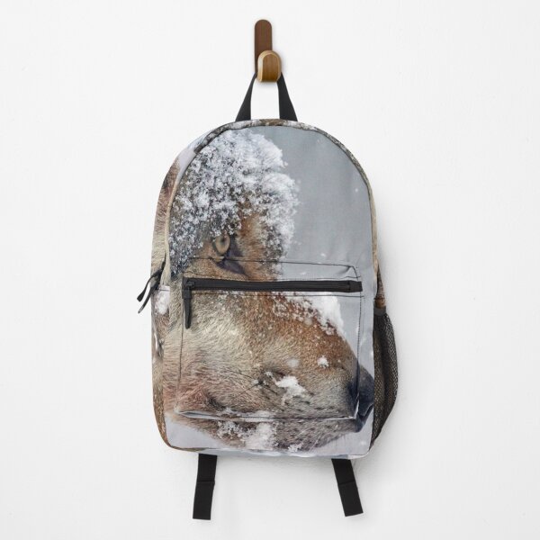 Item preview, Wolf with a snowy face. designed and sold by claireseyeview.