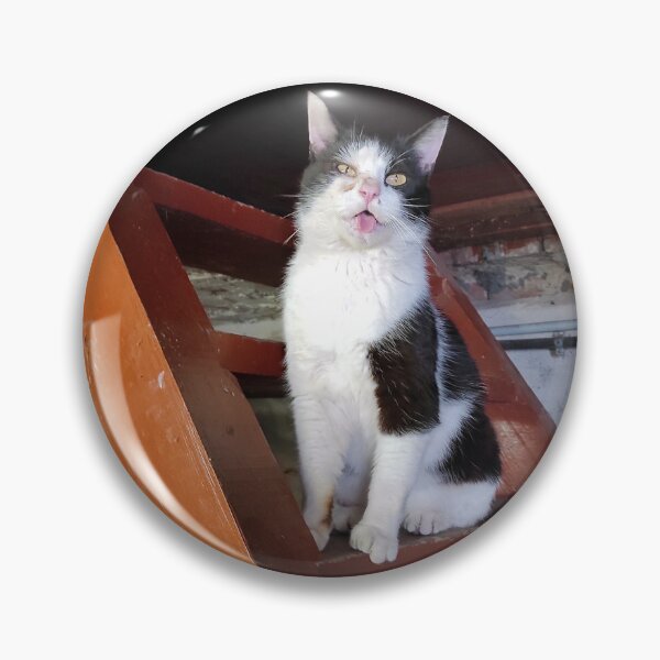Item preview, cat on the stairs designed and sold by Gourmetkater.