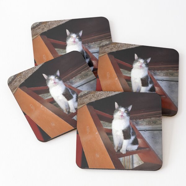 Item preview, cat on the stairs designed and sold by Gourmetkater.