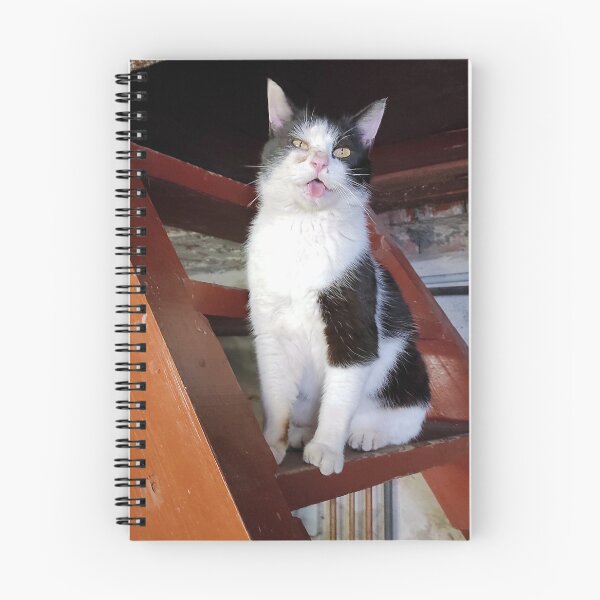 Item preview, cat on the stairs designed and sold by Gourmetkater.