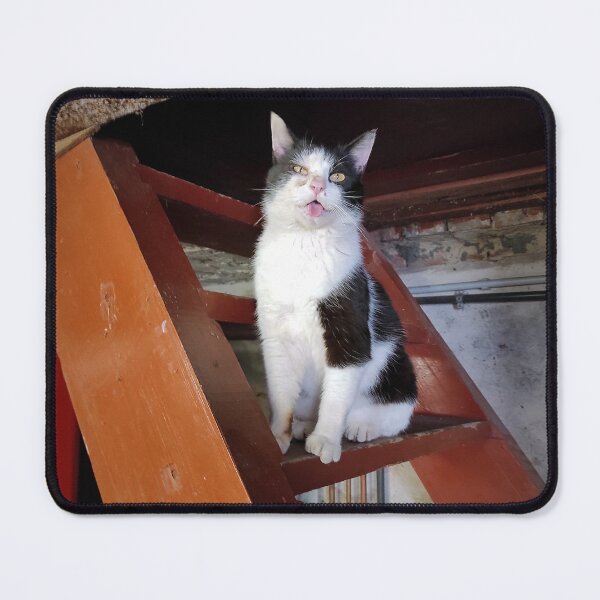 Item preview, cat on the stairs designed and sold by Gourmetkater.