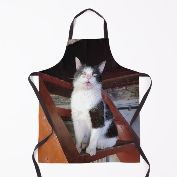 Item preview, cat on the stairs designed and sold by Gourmetkater.