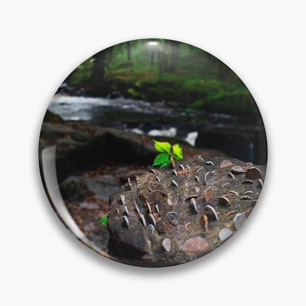 Item preview, Golitha Falls Cornwall designed and sold by Graz-Photos.
