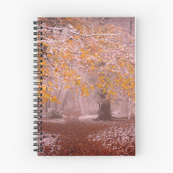 Item preview, Snowy Cotswold Way designed and sold by Graz-Photos.