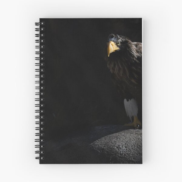 Artikelvorschau, Schattenhafter Seeadler entworfen und verkauft von Ruth Jolly.
