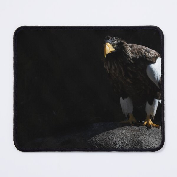 Item preview, Shadowy Sea Eagle designed and sold by Ruth Jolly.