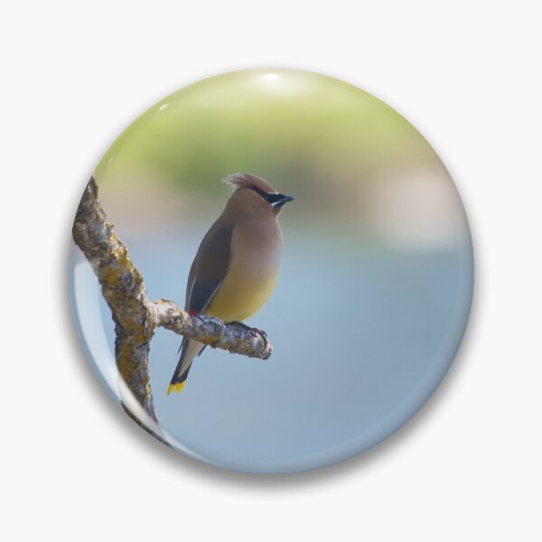 Item preview, THE OBSERVER designed and sold by adumont1.
