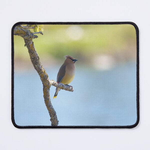 Item preview, THE OBSERVER designed and sold by adumont1.