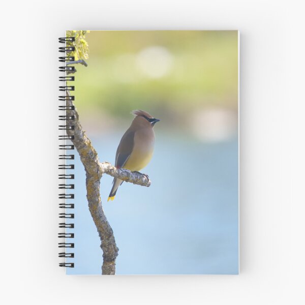 Item preview, THE OBSERVER designed and sold by adumont1.