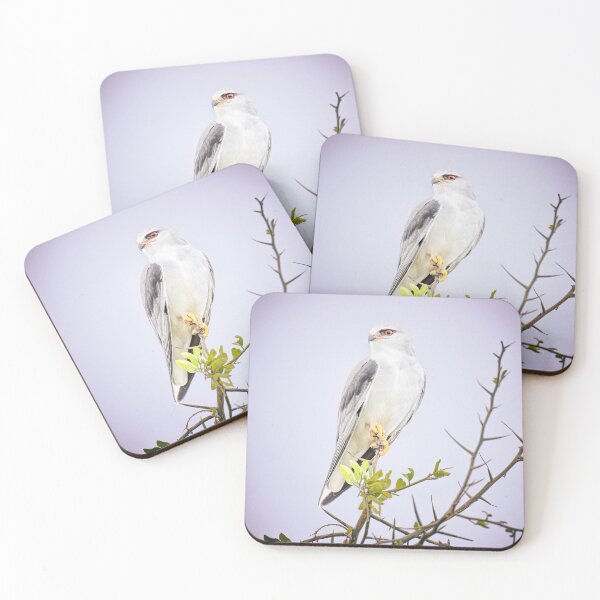 Item preview, Black Shouldered Kite Tanzania Africa designed and sold by PhotoArt by Joan Carroll.