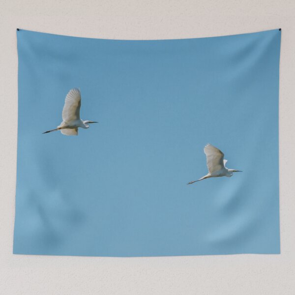 Item preview, Two Great White Egrets Flying Together in a Clear Blue Sky designed and sold by Jon Shore.
