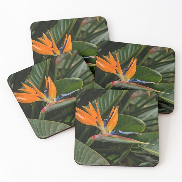 Item preview, Vibrant Bird of Paradise Flower designed and sold by xophotography.