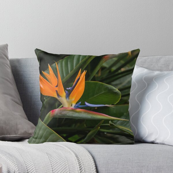 Item preview, Vibrant Bird of Paradise Flower designed and sold by xophotography.