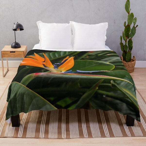 Item preview, Vibrant Bird of Paradise Flower designed and sold by xophotography.