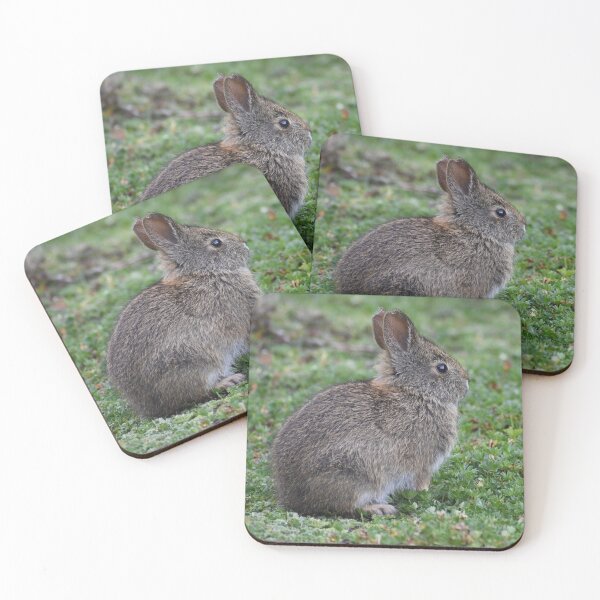 Item preview, little Ecuadorian rabbit designed and sold by JIM-AND-ME.