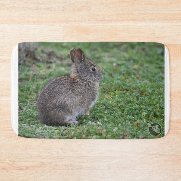 Item preview, little Ecuadorian rabbit designed and sold by JIM-AND-ME.