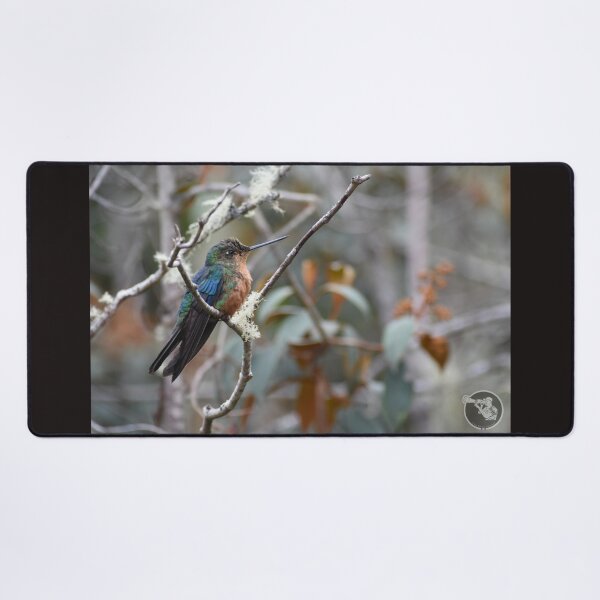 Item preview, humming-bird designed and sold by JIM-AND-ME.