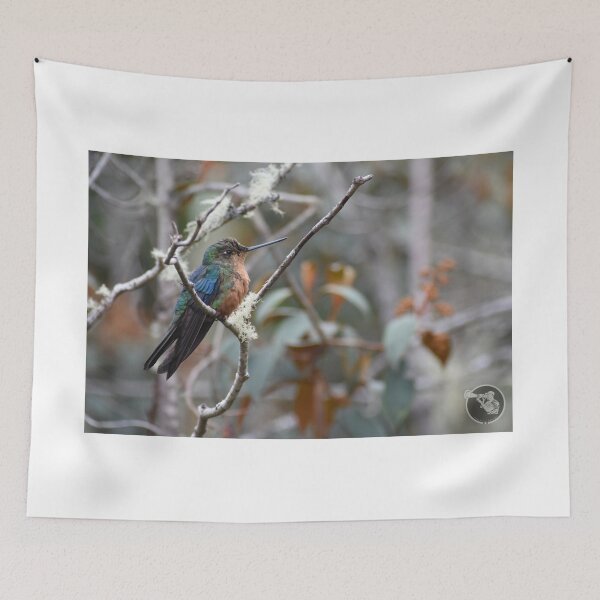 Item preview, humming-bird designed and sold by JIM-AND-ME.