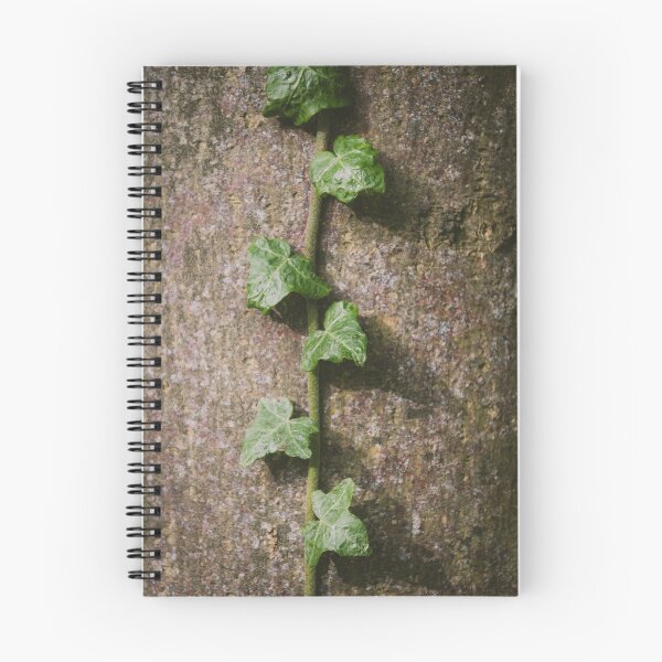 Item preview, Ivy on a tree designed and sold by Slalon85.