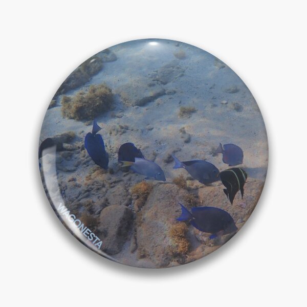 Item preview, Underwater - Blues and Buddy ln Bonaire by Wagonesta  designed and sold by Wagonesta.