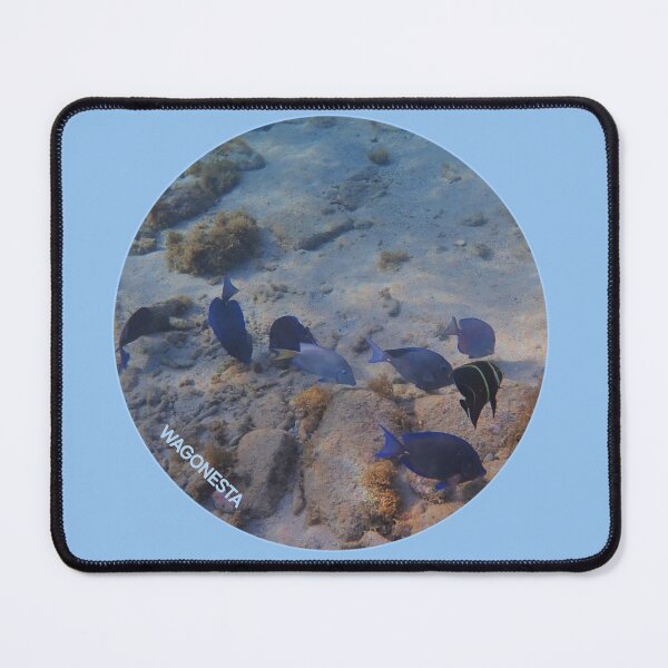 Item preview, Underwater - Blues and Buddy ln Bonaire by Wagonesta designed and sold by Wagonesta.