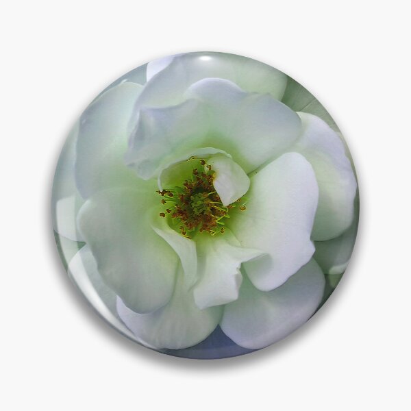 Item preview, Serenity in Bloom: White Rose Elegance designed and sold by baindy.