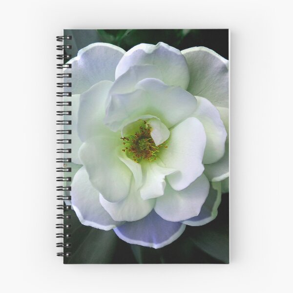 Item preview, Serenity in Bloom: White Rose Elegance designed and sold by baindy.