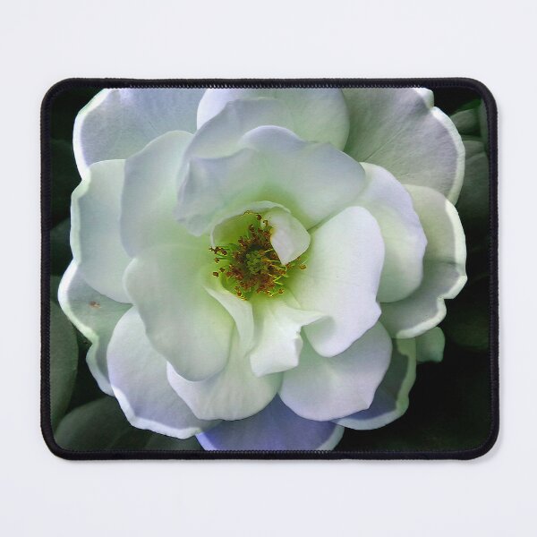 Item preview, Serenity in Bloom: White Rose Elegance designed and sold by baindy.