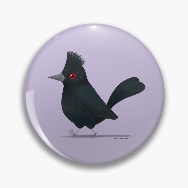 Item preview, Phainopeplas Bird designed and sold by julianamotzko.
