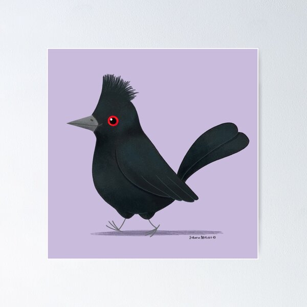 Item preview, Phainopeplas Bird designed and sold by julianamotzko.