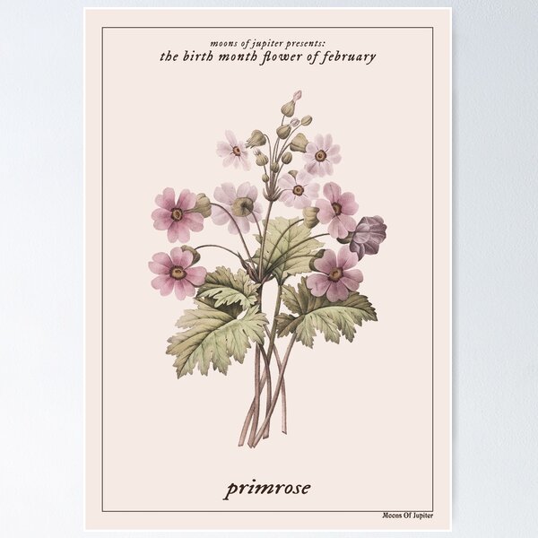 Item preview, The Birth Month Flower of February: Primrose designed and sold by MoonsOfJupiter.